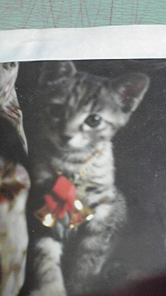 2011082114550000_0001.jpg